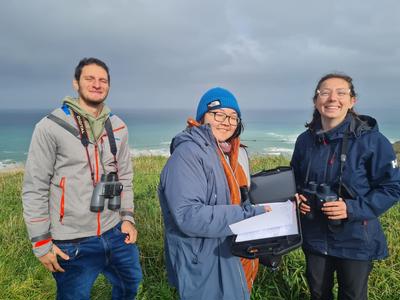 Great Kaikōura Whale Count 2026 - Help grow and spread the #WhaleJoy!