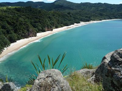 Rarely asked - now requested.  Help us Save New Chum Beach!