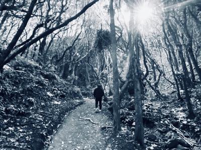 Runvironment: 25 km for Kāpiti