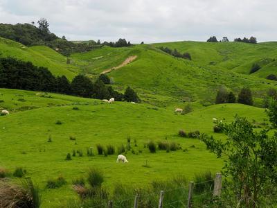 I'm cycling 3,000km's from Cape Reinga to Bluff in 30 days to raise money for Lifeline Aotearoa.