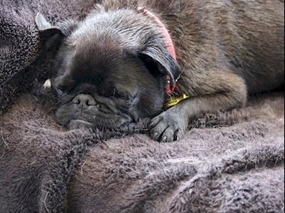 Ruby's path to happy steps