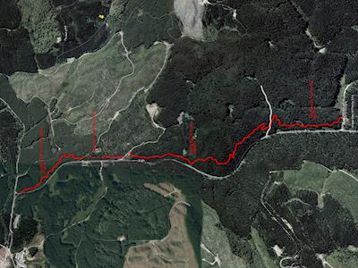 Help fund a brand new trail in our forest.