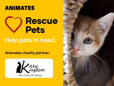 Kitty Kingdom in Partnership with Animates