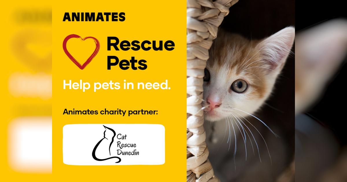 Animates Fundraiser - Cat Rescue Dunedin - Givealittle