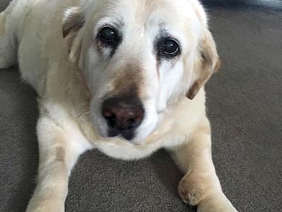 An appeal for Marilyn