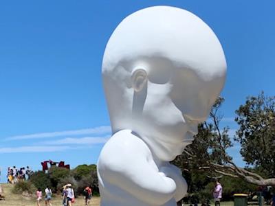 38 x top of Mauao in 50 days