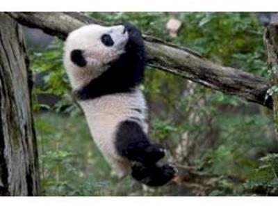 Kris Climbs for BBBS