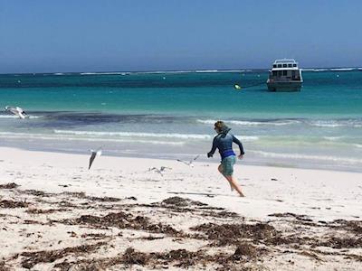 Ironman for those left behind