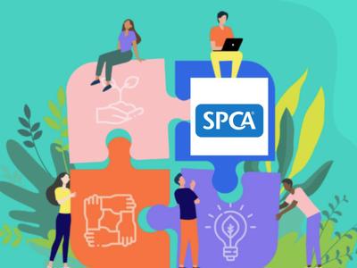 Alfa NZ chosen 2026 Charity