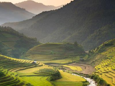 Penny's Trek to Vietnam