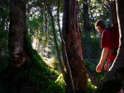 Jos Walks Te Ika-a-Māui