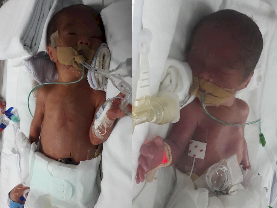 Help Gabriel and Raphael to survive - Givealittle