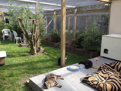 Helping the Helpless!