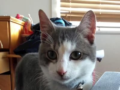 Help save Winstons life