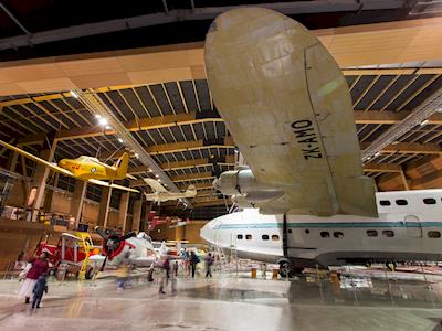 Help restore the Solent at MOTAT