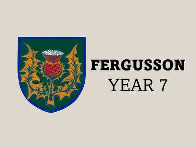 Fergusson Year 7