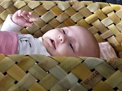 Te Puawaitanga ki Ōtautahi Trust