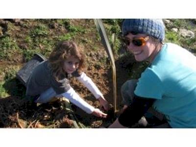 Plant a tree, shelter a sheep!