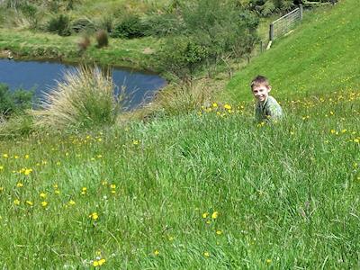 Giving back to Skylight