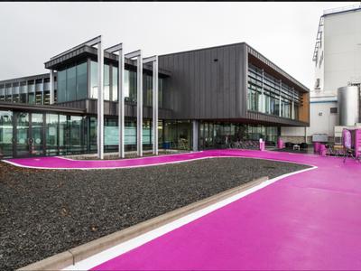 Synlait team are getting behind the Maia Foundation