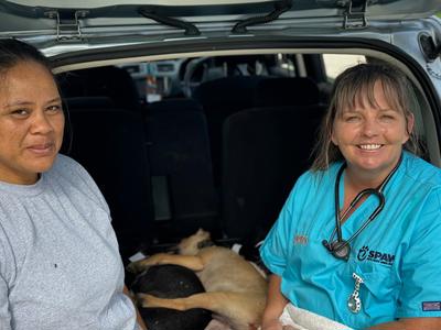 South Pacific Animal Welfare