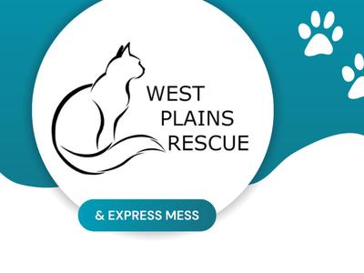 Tails of a clean home competition