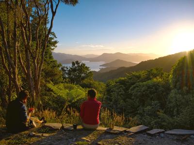 Trees That Count Te Rahi o Tāne Trust