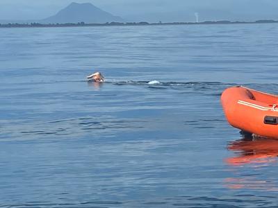 Swimming ‘The Cook Strait’ for the Kingdom of 🇹🇴 Tonga!