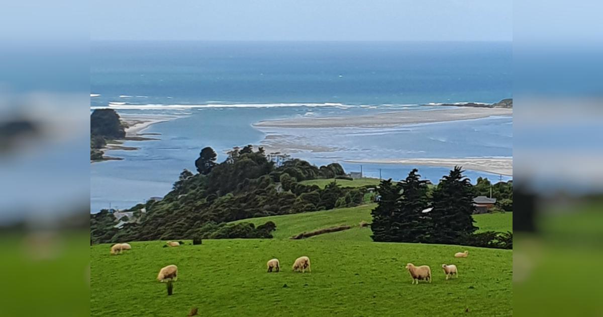 Taieri Mouth Bar Camera Project Givealittle