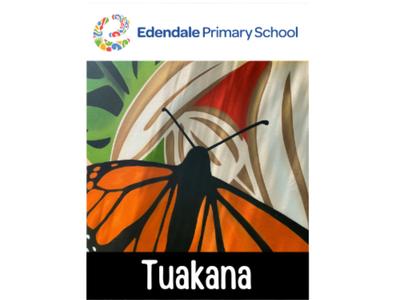 Edendale Colour Run 2024 - Tuakana Years 5&6