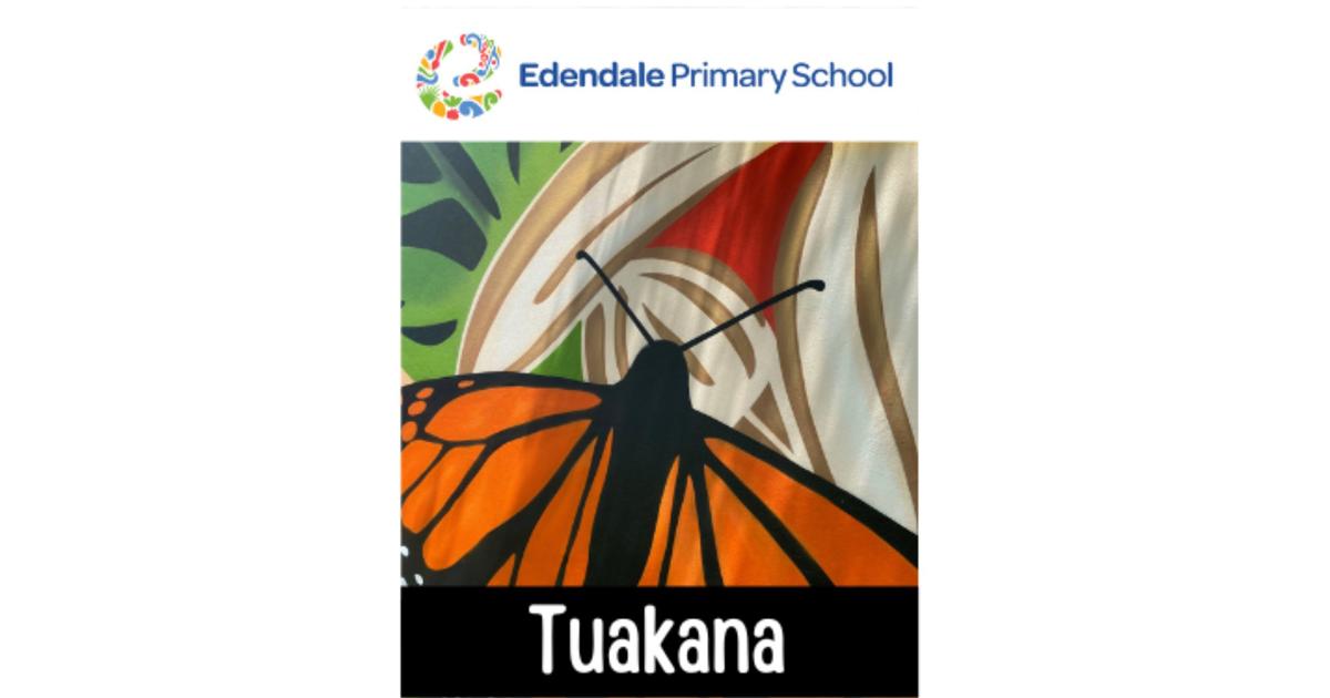 Edendale Colour Run 2024 - Tuakana Years 5&6 - Givealittle