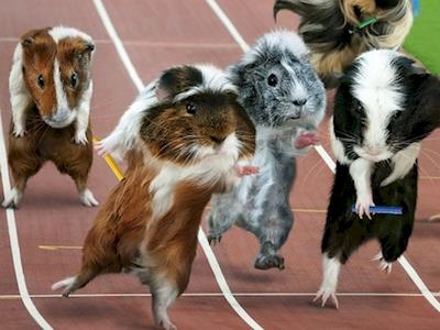 Zak's fun run for his library