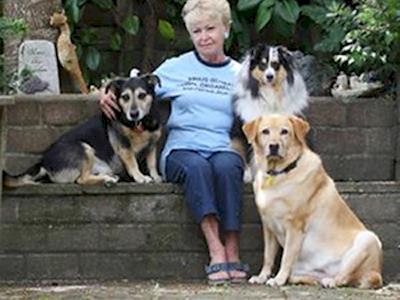 Help the Animals of Syria