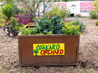 Food Resilience Network