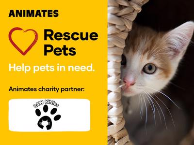 Animates Fundraiser - Proudly supporting Paw Kitties
