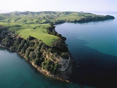 More Trees on Motutapu!