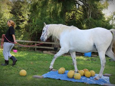 Hope Rising Farm Charitable Trust