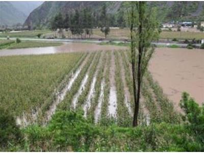 Emergency Relief - Flooding in Peru