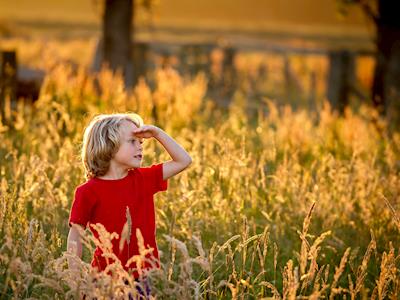 Wakatipu Community Foundation