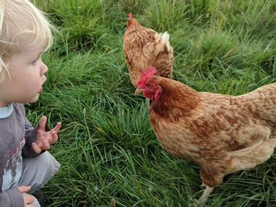 Canterbury Tails Animal Rescue and Sanctuary