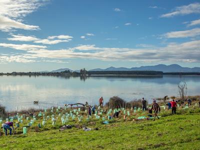 Tasman Environmental Trust