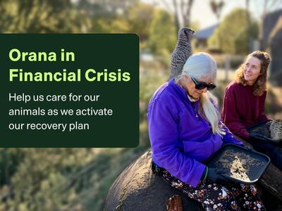 Orana Wildlife Park in financial crisis - Support us as we activate our Recovery Plan.