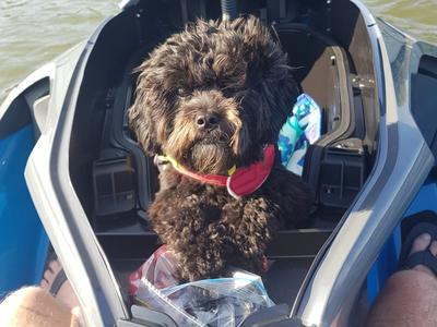 Everyone needs light at the end of a dark space