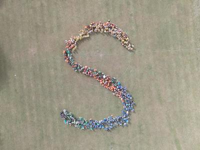 Silverstream School Fact-a-Thon 2026 - Room 1