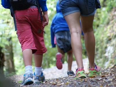 Peter E and friends - Neon Night Walk