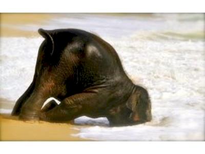 Tim Webster Climbs For BBBS