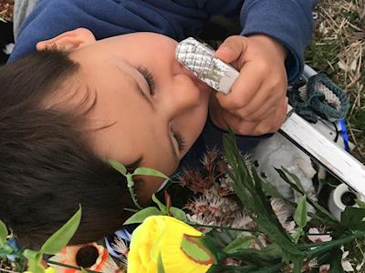 Hamioras 2km dash for Sands bay of plenty