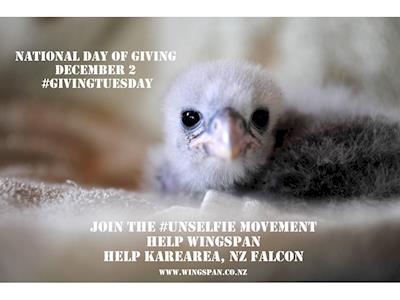 Giving Tuesday