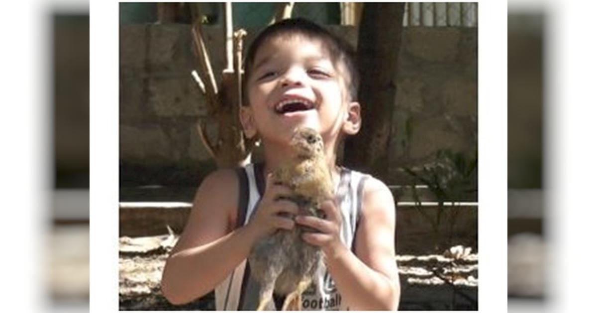 Hue Help Children's Shelter Chicken Project - Givealittle
