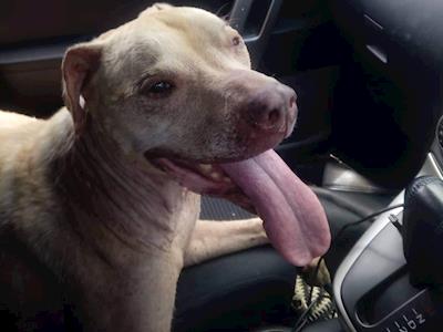 Rosey and her tricky skin